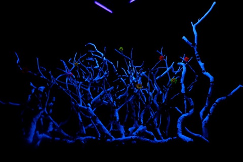 Nhà triển lãm Âm thanh - Explorasound: Điểm đến của những âm vang đại ngàn- Ảnh 4. Nhà triển lãm Âm thanh - Explorasound: Điểm đến của những âm vang đại ngàn- Ảnh 4.