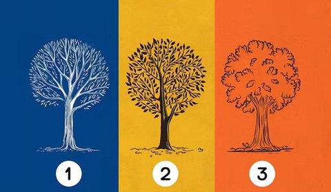 Quiz: Hình ảnh tiết lộ mức độ khôn ngoan, khéo léo của bạn- Ảnh 1. Quiz: Hình ảnh tiết lộ mức độ khôn ngoan, khéo léo của bạn- Ảnh 1.