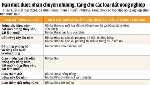 Người không làm nông nghiệp có được nhận chuyển nhượng đất nông nghiệp?- Ảnh 3. Người không làm nông nghiệp có được nhận chuyển nhượng đất nông nghiệp?- Ảnh 3.
