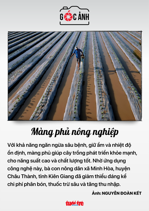Tin tức sáng 7-8: Cải tiến chất lượng tại Chợ Rẫy, bệnh viện đông nhất TP.HCM- Ảnh 5. Tin tức sáng 7-8: Cải tiến chất lượng tại Chợ Rẫy, bệnh viện đông nhất TP.HCM- Ảnh 5.