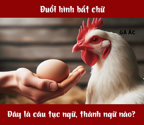 IQ cao có đoán được đây là câu tục ngữ, thành ngữ gì? (P109)- Ảnh 1. IQ cao có đoán được đây là câu tục ngữ, thành ngữ gì? (P109)- Ảnh 1.