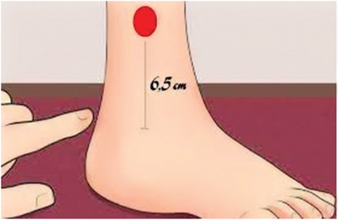 Trẻ mãi không già, điệp vụ bất khả thi?- Ảnh 1. Trẻ mãi không già, điệp vụ bất khả thi?- Ảnh 1.