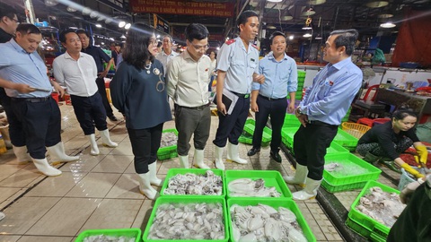 Xung quanh chợ đầu mối không kiểm soát được thì đừng nói đến an toàn thực phẩm- Ảnh 1. Buổi khảo sát có sự tham gia của nhiều đơn vị - Ảnh: N.TRÍ