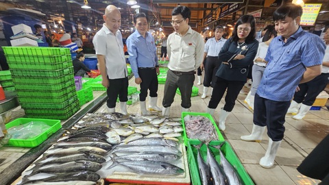 Xung quanh chợ đầu mối không kiểm soát được thì đừng nói đến an toàn thực phẩm- Ảnh 5. Lượng thủy hải sản nhập về chợ Bình Điền hằng đêm là rất lớn - Ảnh: N.TRÍ