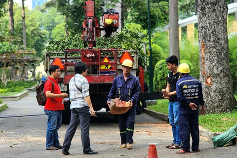 Sau sự cố cây xanh ở Tao Đàn làm chết người: Trung tâm Quản lý hạ tầng kỹ thuật xin lỗi người dân- Ảnh 1. Cơ quan chức năng có mặt tại hiện trường vụ cây xanh tét nhánh gây chết người ở công viên Tao Đàn sáng 9-8 - Ảnh: NGỌC KHẢI