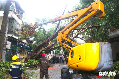 Công nhân cây xanh TP.HCM di dời cây xanh cao hơn 20 mét đè trúng hai ngôi nhà trên phố cổ Hà Nội - Ảnh 4. Công nhân cây xanh TP.HCM di dời cây đa cao hơn 20 mét đè trúng hai ngôi nhà trên phố cổ Hà Nội - Ảnh 4.