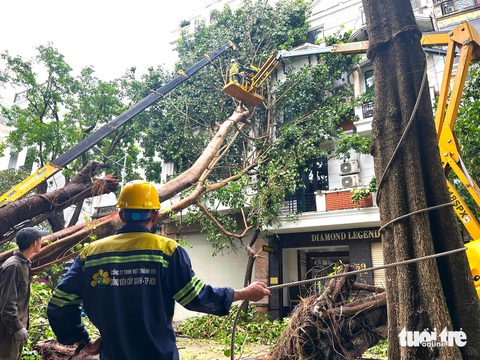 Công nhân cây xanh TP.HCM di dời cây xanh cao hơn 20 mét đè trúng hai ngôi nhà trên phố cổ Hà Nội - Ảnh 5. Công nhân cây xanh TP.HCM di dời cây cao hơn 20 mét đè hai ngôi nhà trên phố cổ Hà Nội - Ảnh 5.