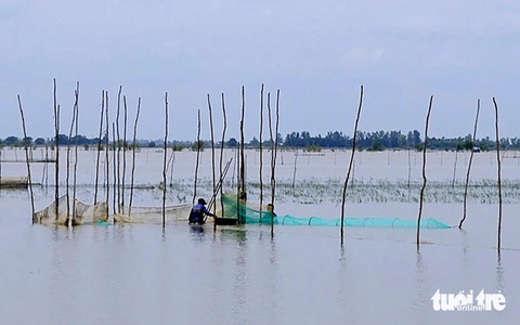 Dân không thể tham gia mô hình trữ thủy sản mùa lũ vì không có vốn 3 triệu đồng - Ảnh 2. Dân không thể tham gia mô hình trữ thủy sản mùa lũ vì không có vốn 3 triệu đồng - Ảnh 3.