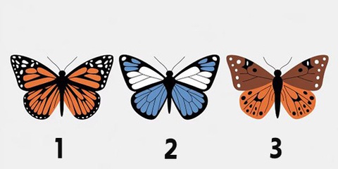 Quiz: Đức tính nào của bạn gây ấn tượng mạnh với những người xung quanh? - Ảnh 1.