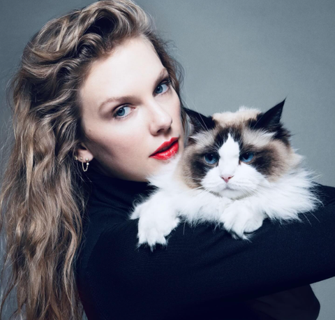 Taylor Swift tuyên bố ủng hộ bà Kamala Harris làm tổng thống - Ảnh 2. Taylor Swift tuyên bố ủng hộ bà Kamala Harris làm tổng thống - Ảnh 2.