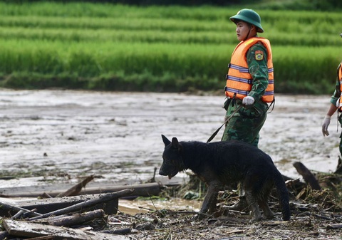 Lào Cai: 88 người chết, hơn 100 người mất tích và bị thương - Ảnh 1. Lào Cai: 88 người chết, hơn 100 người mất tích và bị thương - Ảnh 1.