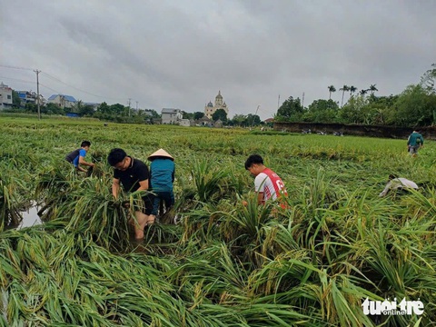 Phố lũ Thái Nguyên về cuộc sống thường ngày - Ảnh 10. Phố lũ Thái Nguyên về cuộc sống thường ngày - Ảnh 10.