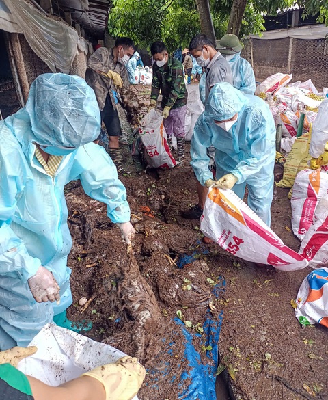 'Biển nước' đã về đến đồng bằng - Ảnh 2. 'Biển nước' đã về đến đồng bằng - Ảnh 2.