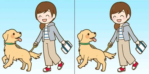 Mắt 10/10 mới thấy 5 chàng trai ẩn giấu trong hình - Ảnh 3.