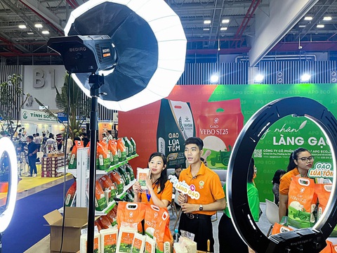 Hàng Việt lên sàn thương mại điện tử thế giới: Quá chông gai - Ảnh 1. Hàng Việt lên sàn thương mại điện tử thế giới: Quá chông gai - Ảnh 2.