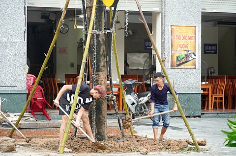 Dọn, cứu cây xanh: Người ít nhưng việc quá nhiều - Ảnh 1. Dọn, cứu cây xanh: Người ít nhưng việc quá nhiều - Ảnh 1.
