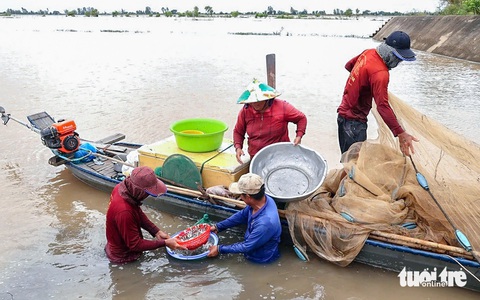 Miền Tây chờ đón mùa nước nổi - Ảnh 1. Miền Tây chờ đón mùa nước nổi - Ảnh 2.