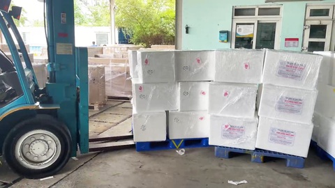 Xuất khẩu 2,5 triệu tôm giống sang Đài Loan - Ảnh 3.