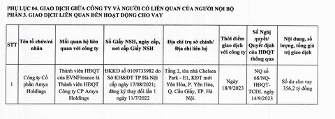 EVNFinance ‘rót’ gần 25.000 tỉ vào nhóm khách hàng cùng tòa nhà hoặc cùng người đại diện - Ảnh 5.
