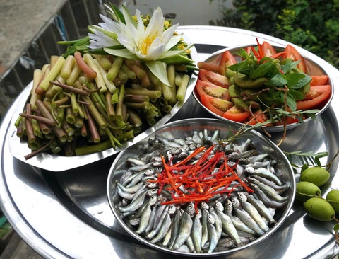 Mùa cá đồng về phố - Ảnh 3. Mùa cá đồng về phố - Ảnh 5.
