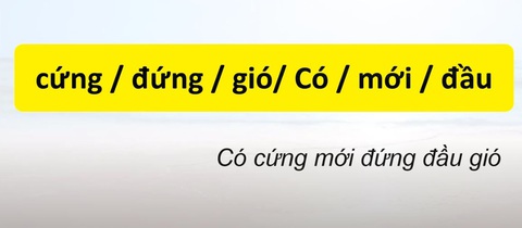 Thử tài tiếng Việt: Sắp xếp các từ sau thành câu có nghĩa (P138) - Ảnh 1.