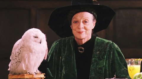 Diễn viên Maggie Smith, Giáo sư McGonagall trong Harry Potter qua đời ở tuổi 89 - Ảnh 1. Maggie Smith, giáo sư McGonagall trong Harry Potter, qua đời ở tuổi 89 - Ảnh 1.