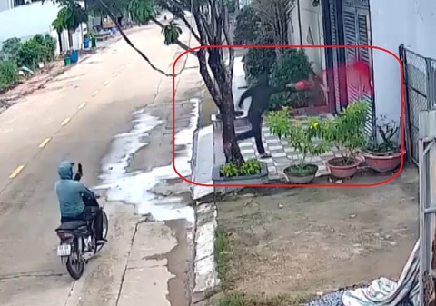 Tạm giữ hai thanh niên tạt sơn đòi nợ - Ảnh 1. Tạm giữ hai thanh niên tạt sơn đòi nợ ở Bình Dương - Ảnh 1.