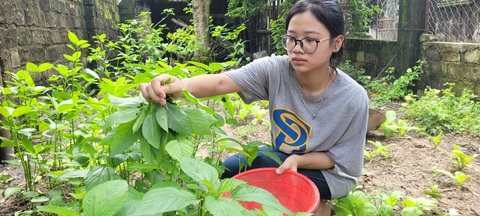 Nữ sinh nghèo nhất khu phố muốn học đại học thay đổi số phận - Ảnh 1. Nữ sinh nghèo nhất muốn học đại học thay đổi số phận - Ảnh 1.