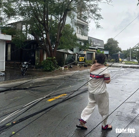 Cây xanh ở TP.HCM, Bình Dương đổ hàng loạt trong cơn mưa - Ảnh 8.