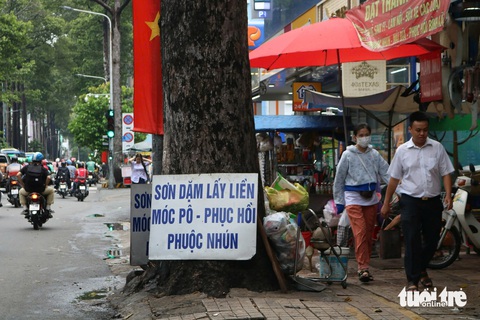 Vẫn còn nhiều cây xanh TP.HCM bị