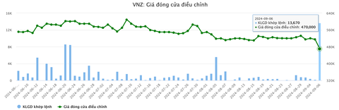 Diến biến bất ngờ của cổ phiếu VNG - mã đắt nhất sàn chứng khoán Việt Nam - Ảnh 2.