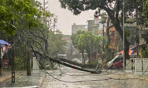 Quảng Ninh: 3 người chết, 13 người mất tích do bão số 3 - Ảnh 3. 4 người chết, 78 người bị thương do bão số 3 - Ảnh 8.
