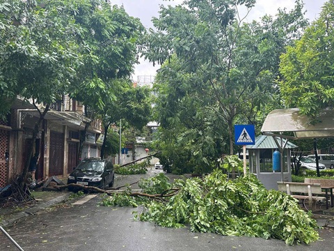 Hà Nội: Nhiều nơi mất điện, cảnh báo nội thành ngập lụt - Ảnh 3. Bão số 3 đã suy yếu thành áp thấp nhiệt đới, nhiều nơi mưa to - Ảnh 31.