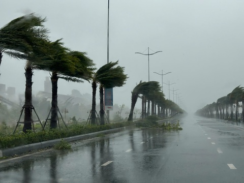 Bão số 3 đang đổ bộ, cắt điện gần như toàn bộ Hải Phòng, Quảng Ninh - Ảnh 22.