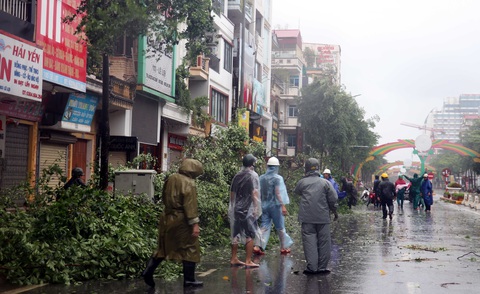 4 người chết, 78 người bị thương do bão số 3 - Ảnh 6. 4 người chết, 78 người bị thương do bão số 3 - Ảnh 6.