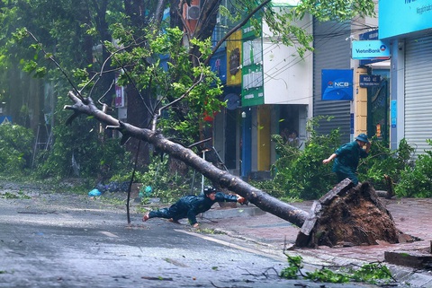 Hà Nội: Sập nhà trên phố Khâm Thiên, cây đa cổ thụ gần hồ Hoàn Kiếm gãy đổ - Ảnh 3. Bão số 3 đã suy yếu thành áp thấp nhiệt đới, nhiều nơi mưa to - Ảnh 24.