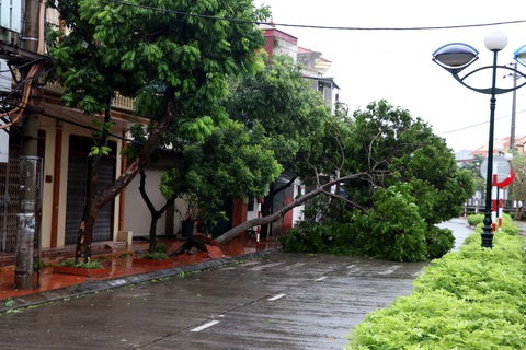 Người dân Hạ Long không thể ra đường vì gió bão quá mạnh - Ảnh 5. 4 người chết, 78 người bị thương do bão số 3 - Ảnh 13.