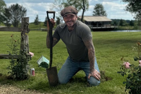 David Beckham gây sốt với sở thích làm vườn - Ảnh 5. David Beckham gây sốt với sở thích làm vườn - Ảnh 5.