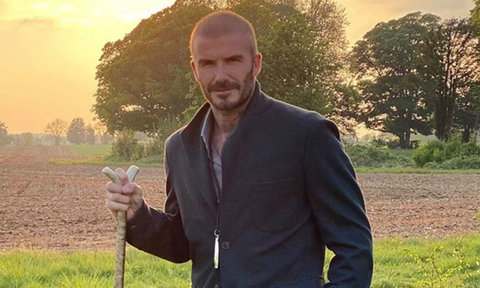 David Beckham gây sốt với sở thích làm vườn - Ảnh 3. David Beckham gây sốt với sở thích làm vườn - Ảnh 3.