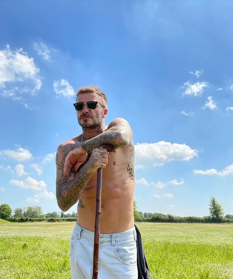 David Beckham gây sốt với sở thích làm vườn - Ảnh 4. David Beckham gây sốt với sở thích làm vườn - Ảnh 4.