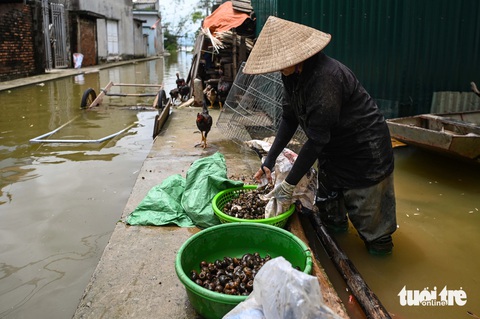 Ngoại thành Hà Nội ngập sâu, dân đi thuyền trên tỉnh lộ - Ảnh 13.