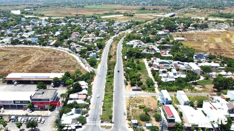 Cây xanh chết khô hàng loạt trên tuyến đường trăm tỉ vẫn chưa được khắc phục - Ảnh 1.
