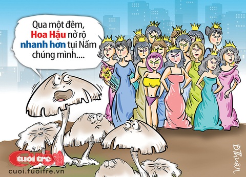 (nháp) Hoa hậu nấm rơm - Ảnh 1.
