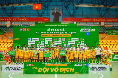 Ban giải quyết khiếu nại VFF giữ nguyên án phạt gian lận tuổi của U11 Sông Lam Nghệ An - Ảnh 2.