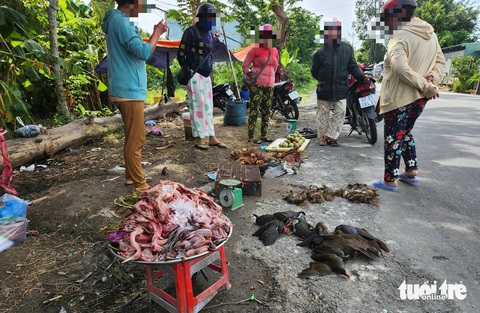 Vô tư mua bán chim cò ven quốc lộ 80, 63 - Ảnh 1.