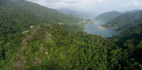 ‘Gieo mầm’ trách nhiệm bảo vệ rừng từ tín chỉ carbon - Ảnh 1.