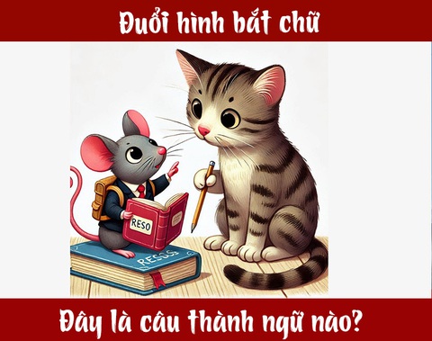Câu thành ngữ gì liên quan đến mèo và chuột - Ảnh 1.