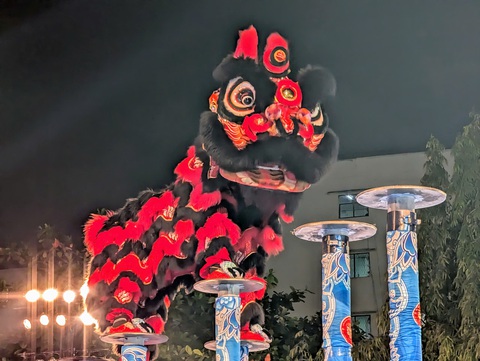 Giải lân sư rồng quốc tế quận 5 mở rộng bế mạc, đoàn Miếu Bảy Bà, An Giang đoạt giải vô địch - Ảnh 6. Giải lân sư rồng - Ảnh 6.