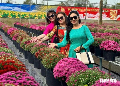 Mâm xôi Sa Đéc bung nở rực rỡ khiến khách du lịch mê mẩn - Ảnh 4.