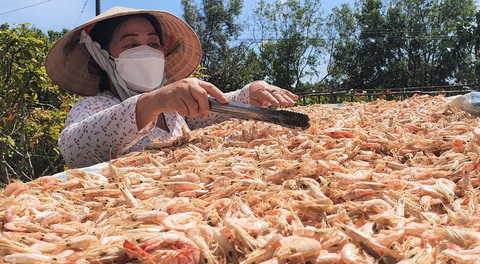 Tin tức sáng 18-1: Nam Bộ đối mặt triều cường ngay mùng 1 Tết; Giá tôm khô cao kỷ lục - Ảnh 2. Tin tức sáng 18-1: Nam Bộ đối mặt triều cường ngay mùng 1 Tết; Giá tôm khô cao kỷ lục - Ảnh 3.